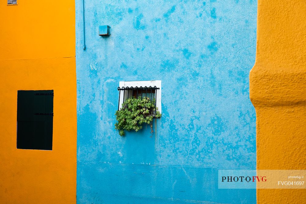 Detail of the colorful houses in Burano island, Venetian lagoon, Venice, Italy, Europe