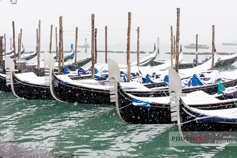 Winter snowfall in the city of Venice, gondolas covered by snow in the Sain Mark basin, Venice, Veneto, Italy, Europe