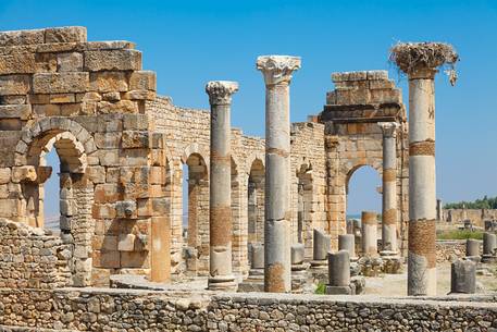 Archaeological Site of Volubilis