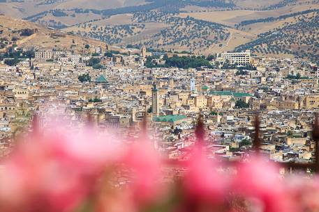 View of the historic city of Fes
