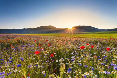 Sunset in Castelluccio di Norcia during flowering