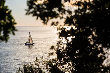 Boat at sunset