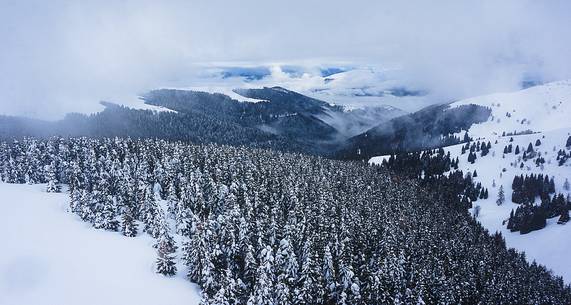 Valleys of Monte Grappa in the depths of winter