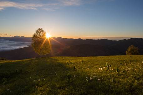 Spring Dawn at Pian di Cultura, Italy