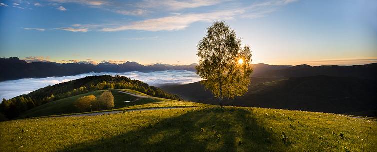 Spring Dawn at Pian di Cultura, Italy