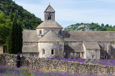 The ancient abbey of Sénanque, located a few kilometers from the picturesque village of Gordes The ancient abbey of Sénanque, located a few kilometers from the picturesque village of Gordes