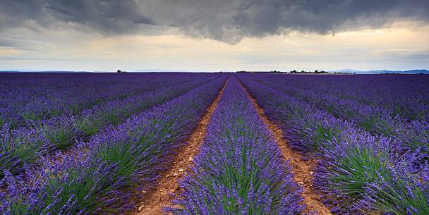 Storm coming on the Plateau of Valensole