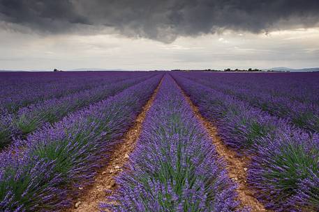 Storm coming on the Plateau of Valensole