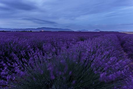 Storm coming on the Plateau of Valensole