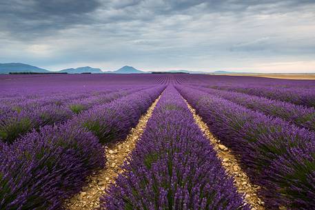 Storm coming on the Plateau of Valensole