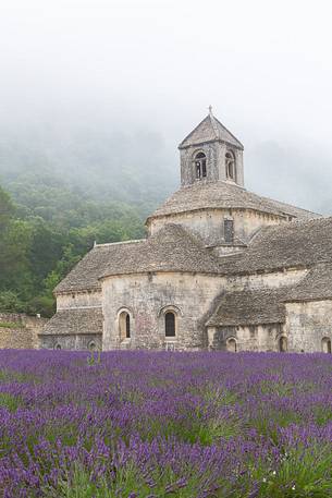 The ancient abbey of Sénanque, located a few kilometers from the picturesque village of Gordes, surrounded by the morning mist The ancient abbey of Sénanque, located a few kilometers from the picturesque village of Gordes, surrounded by the morning mist