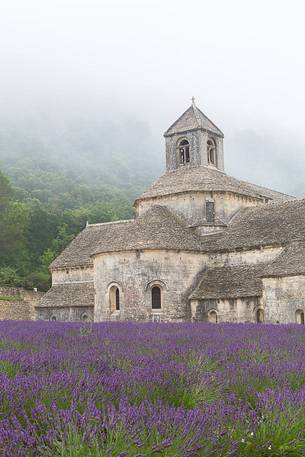 The ancient abbey of Snanque, located a few kilometers from the picturesque village of Gordes, surrounded by the morning mist