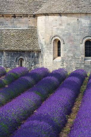 The ancient abbey of Snanque, located a few kilometers from the picturesque village of Gordes