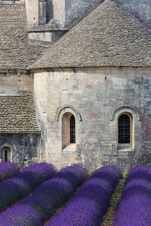 The ancient abbey of Sénanque, located a few kilometers from the picturesque village of Gordes The ancient abbey of Sénanque, located a few kilometers from the picturesque village of Gordes