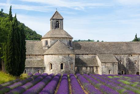 The ancient abbey of Sénanque, located a few kilometers from the picturesque village of Gordes The ancient abbey of Sénanque, located a few kilometers from the picturesque village of Gordes