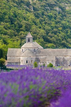 The ancient abbey of Sénanque, located a few kilometers from the picturesque village of Gordes The ancient abbey of Sénanque, located a few kilometers from the picturesque village of Gordes
