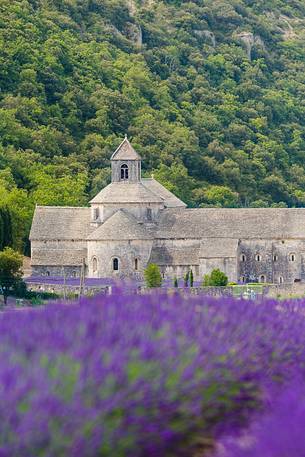 The ancient abbey of Snanque, located a few kilometers from the picturesque village of Gordes