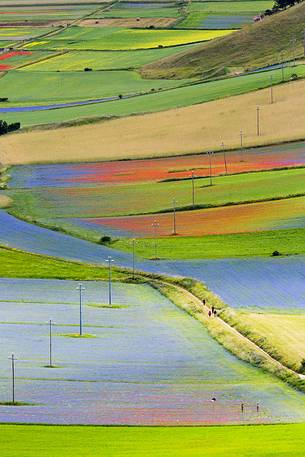 Color fields in Castelluccio