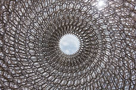 Milan Universal Exposition 2015, Expo Milano 2015, United Kingdom Pavilion, designed by Wolfgang Buttress Milan Universal Exposition 2015, Expo Milano 2015, United Kingdom Pavilion, designed by Wolfgang Buttress