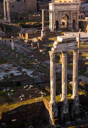 Sunset light on the Roman Forums