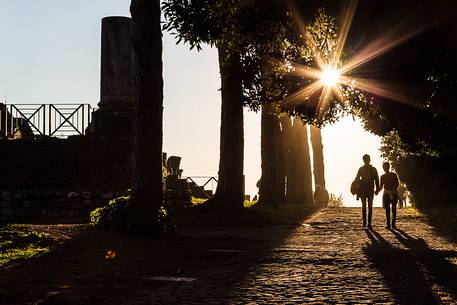 Roman Forums