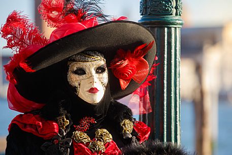 Venice Carnival in St. Marco Square