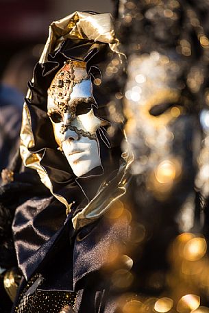 Venice Carnival in St. Marco Square