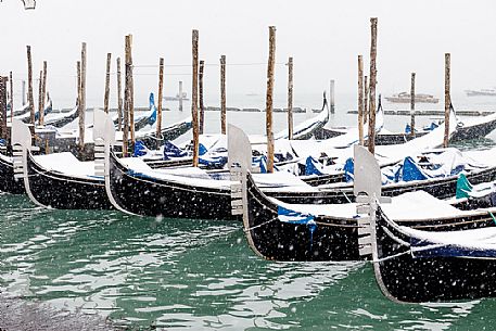 Winter snowfall in the city of Venice, gondolas covered by snow in the Sain Mark basin, Venice, Veneto, Italy, Europe Winter snowfall in the city of Venice, gondolas covered by snow in the Sain Mark basin, Venice, Veneto, Italy, Europe