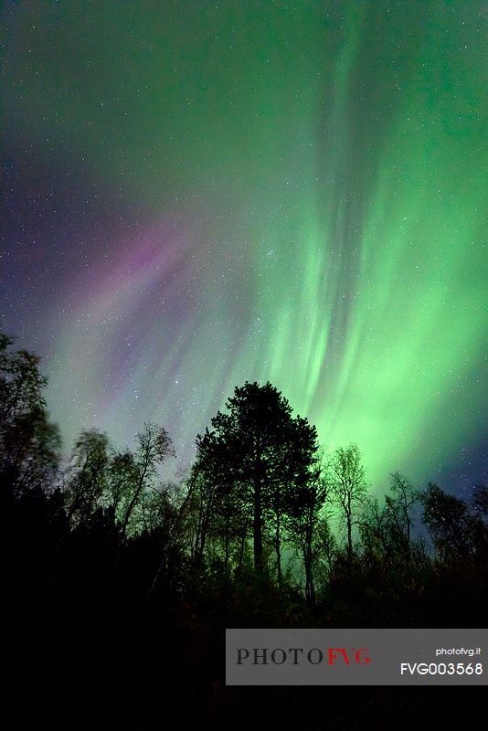 Northern lights over finnish Lapland.