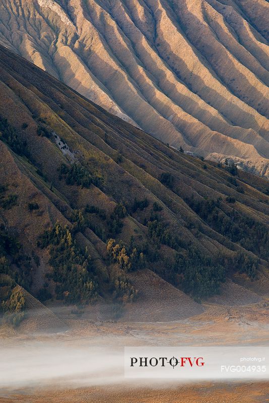 Volcanic terrain illuminated by the first light of sunrise, Bromo Tengger Semeru National Park.