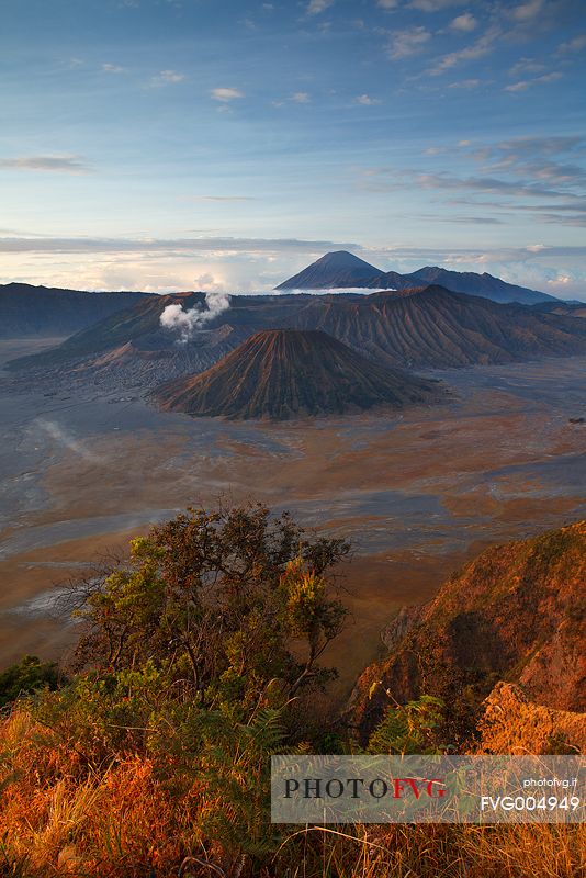 Th smoking volcanoes of Bromo Tengger Semeru National Park after sunrise, Isle of Java.