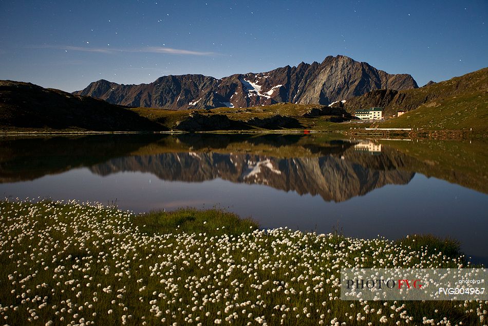 Eriofori flowers, lake and mountains at night, Stelvio National Park.