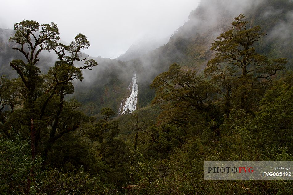 An hidden waterfall in the mysterious  virgin forests of Doubtful Sound, New Zealand.