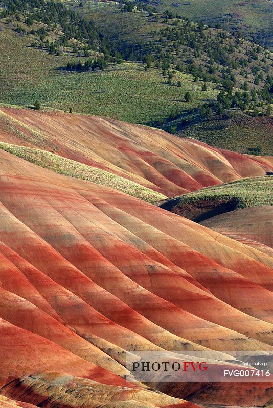 A colorful detail from Oregon's Painted Hills.