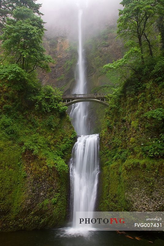 The spectacular Multnomah falls in the Columbia River Gorge region, Oregon.