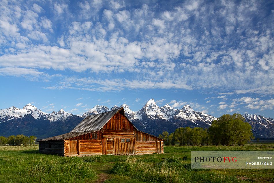 Grand Teton barn after sunrise, one of the most photogenic spot in the park.