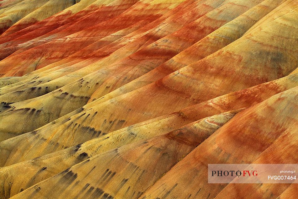 A detail from Painted Hills, Oregon.
