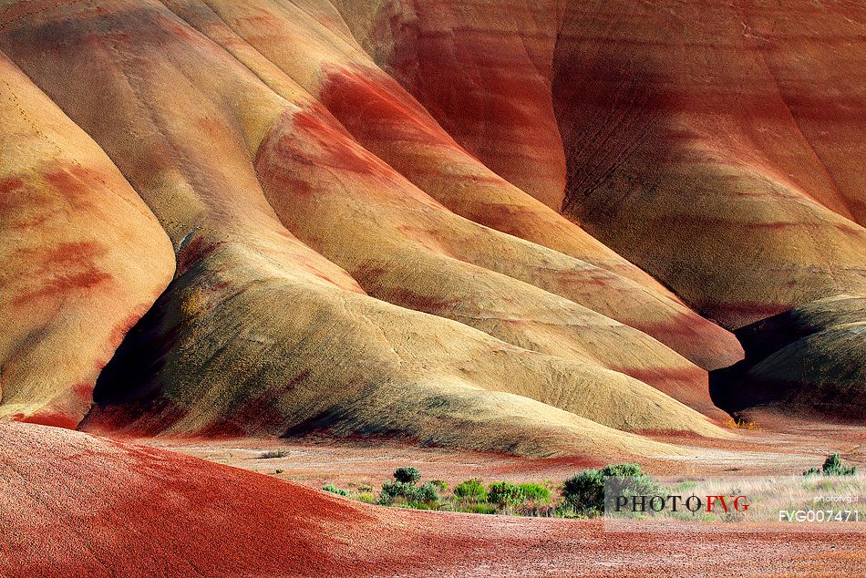 A detail from Painted Hills, Oregon.