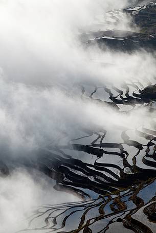 Yuanyang rice terraces, Yunnan, China.