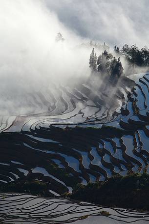 Yuanyang rice terraces, Yunnan, China.