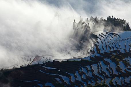 Yuanyang rice terraces at sunrise, Yunnan, China.