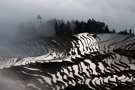 Yuanyang rice terraces, Yunnan, China.