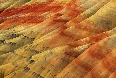 A detail from Painted Hills, Oregon.