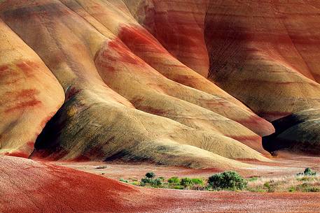 A detail from Painted Hills, Oregon.