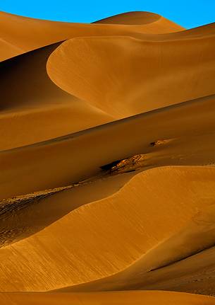 Shapes and colors from the desert area of the Great Sand Dunes National Park, Colorado.