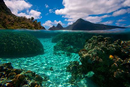 The incredible Ofu Island, hidden in the middle of the Pacific Ocean, in Polinesia. Fishes were exporing the coral reef in a hot and sunny day.
This island is part of the Manu'a Islands archipelago, American Samoa.