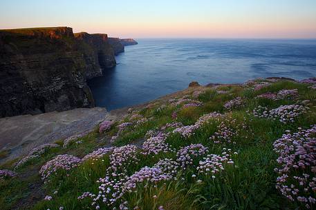 Sunrise and flowers in front of the majestic Cliffs of Moher, Ireland Sunrise and flowers in front of the majestic Cliffs of Moher, Ireland