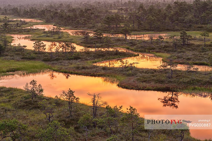 Endla bog is a nature reserve in central estonia