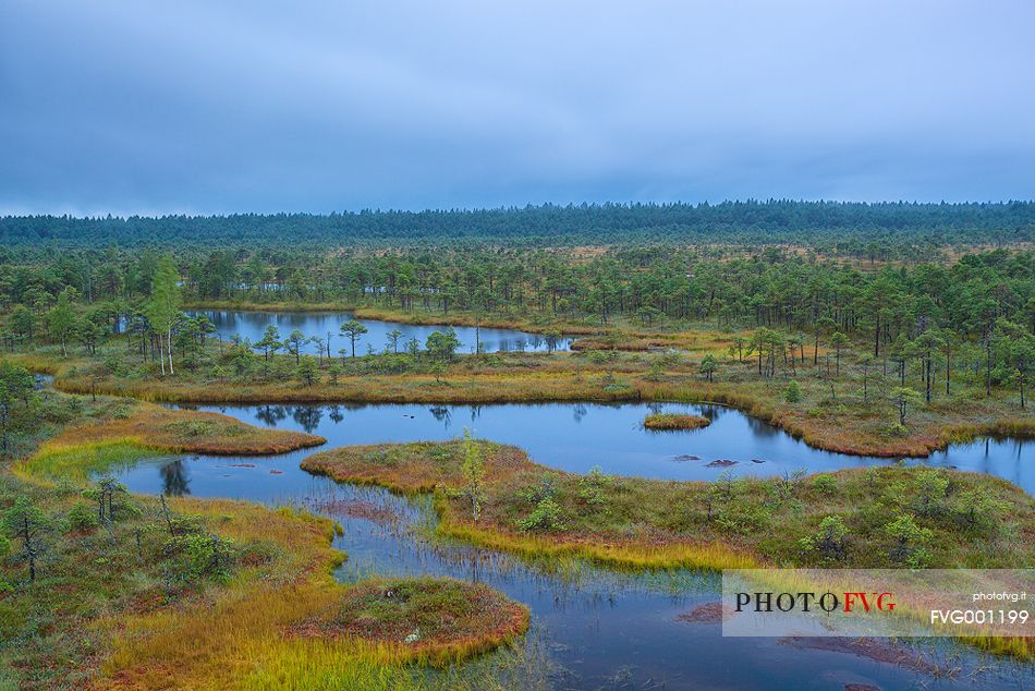 Endla bog is a nature reserve situated in central estonia