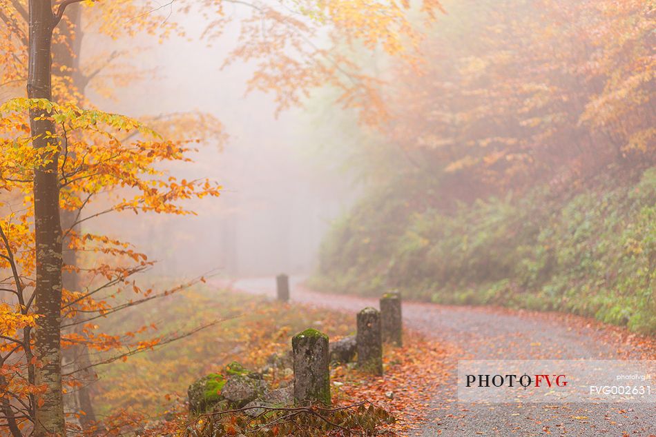 Valley Arzino in autumn